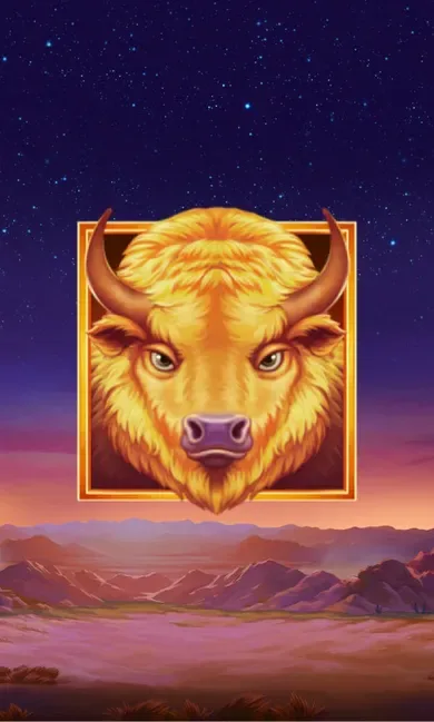Buffalo's Sun